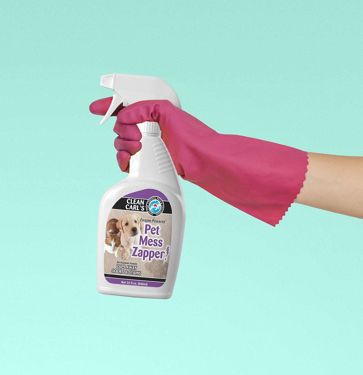 Pet Mess Zapper